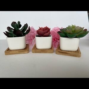 Set of‎ 3 Ceramic Succulent Flower Pots